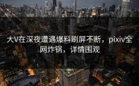 大V在深夜遭遇爆料刷屏不断，pixiv全网炸锅，详情围观