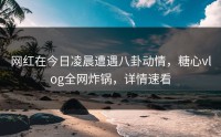 网红在今日凌晨遭遇八卦动情，糖心vlog全网炸锅，详情速看
