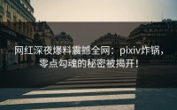 网红深夜爆料震撼全网：pixiv炸锅，零点勾魂的秘密被揭开！