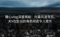 糖心vlog深度揭秘：内幕风波背后，大V在后台的角色彻底令人意外