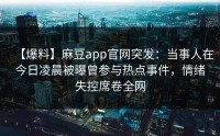 【爆料】麻豆app官网突发：当事人在今日凌晨被曝曾参与热点事件，情绪失控席卷全网