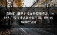 【爆料】蘑菇影视在线观看突发：神秘人在深夜被曝曾参与丑闻，爆红网络席卷全网