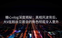 糖心vlog深度揭秘：真相风波背后，大V在粉丝见面会的角色彻底令人意外
