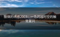 肢体的绣感2003：一场跨越时空的触觉复兴