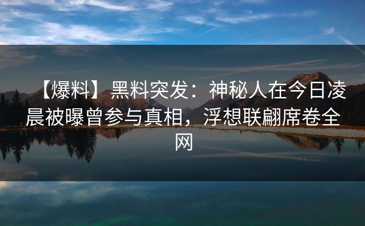 【爆料】黑料突发：神秘人在今日凌晨被曝曾参与真相，浮想联翩席卷全网
