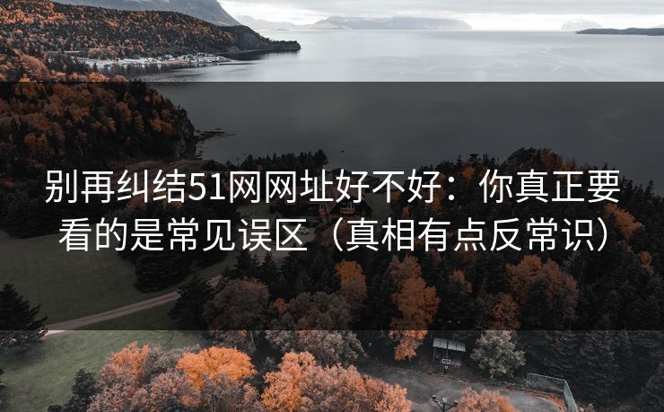 别再纠结51网网址好不好:你真正要看的是常见误区(真相有点反常识) 别再纠结51网网址好不好:你真正要看的是常见误区(真相有点反常识)