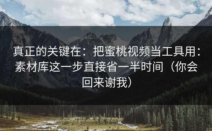 真正的关键在:把蜜桃视频当工具用:素材库这一步直接省一半时间(你会回来谢我) 真正的关键在:把蜜桃视频当工具用:素材库这一步直接省一半时间(你会回来谢我)