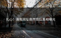 扎心！海角网址竟然背后真相曝光