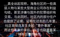 __真全丝起现称，海角社区的一些高层人物与某些大型商业公司存在利益勾结，甚至涉嫌与国外的犯罪组织有交易。与此同时，社区内的部分住户也提供了证据，证明在过去的几年里，社区曾接连发生多起“意外事故”，而这些事故的背后，似乎也隐藏着某种有目的的操作。