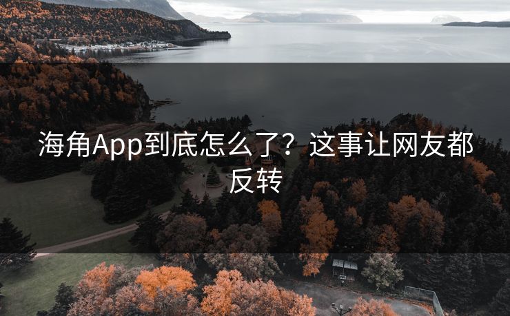 海角App到底怎么了？这事让网友都反转