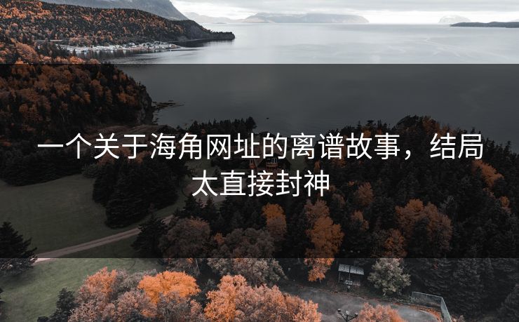 一个关于海角网址的离谱故事，结局太直接封神