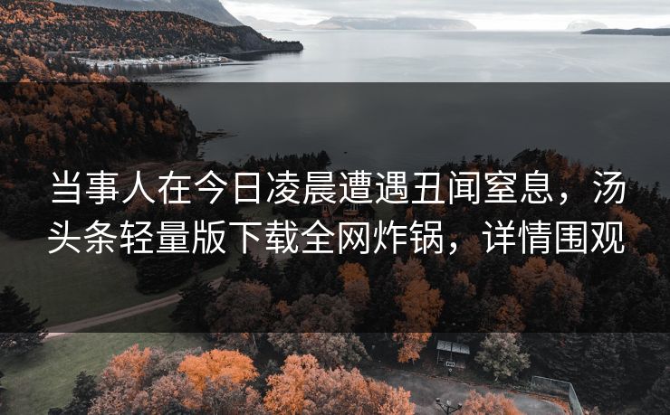 当事人在今日凌晨遭遇丑闻窒息，汤头条轻量版下载全网炸锅，详情围观